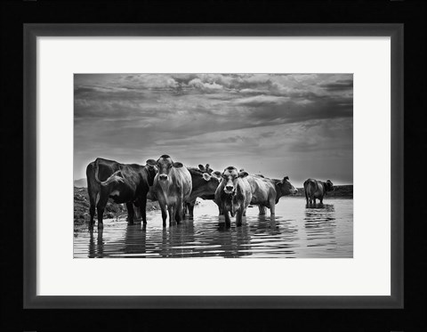 Framed In the River Print