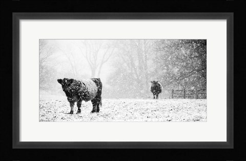 Framed Oreos and Milk III Print