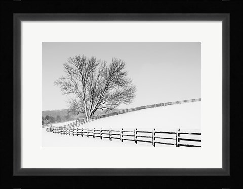 Framed Along the Lane II Print