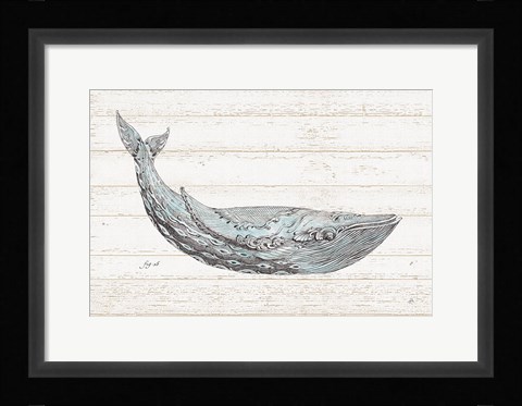 Framed Underwater Life I Blue Print