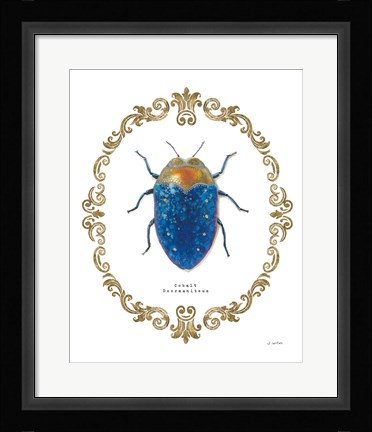 Framed Adorning Coleoptera V Print