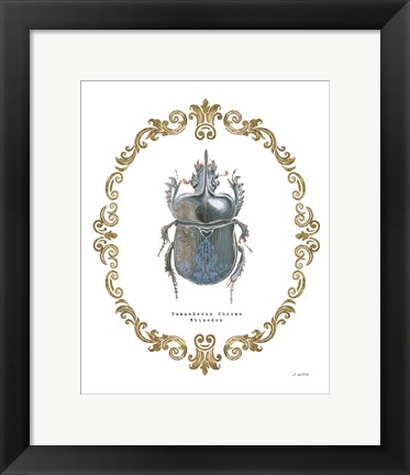 Framed Adorning Coleoptera IV Print