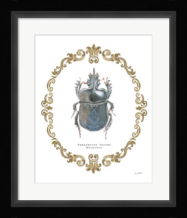 Framed Adorning Coleoptera IV Print