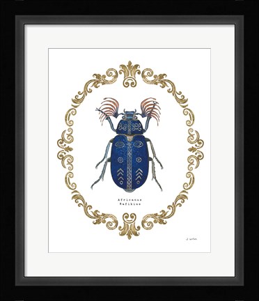 Framed Adorning Coleoptera III Print