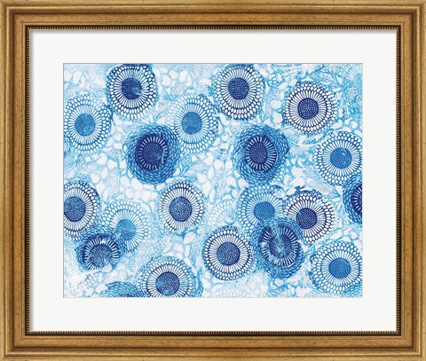 Framed Pinto and Buffalo Flowers Blue Print