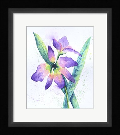 Framed Purple Orchid Print