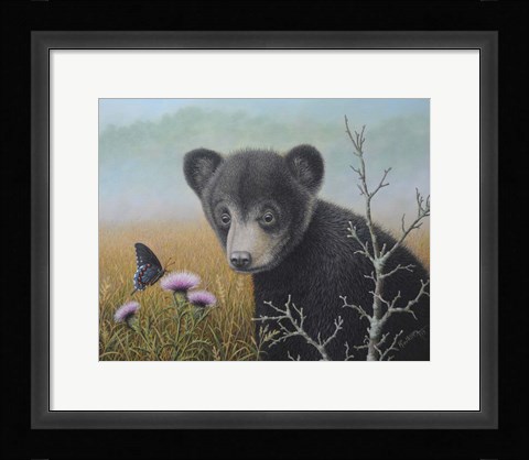 Framed Curious Cub Print