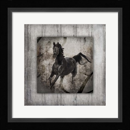 Framed Gypsy Horse Collection V1 6 Print