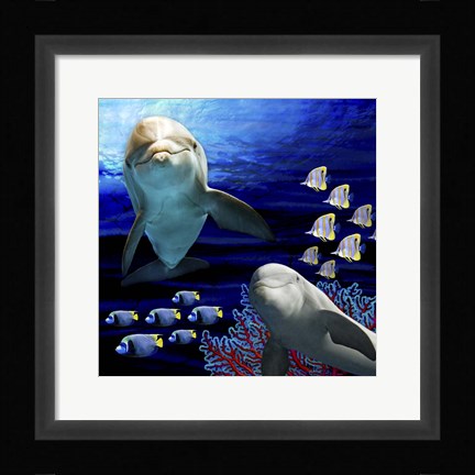 Framed Sea Creatures Dolphines Print