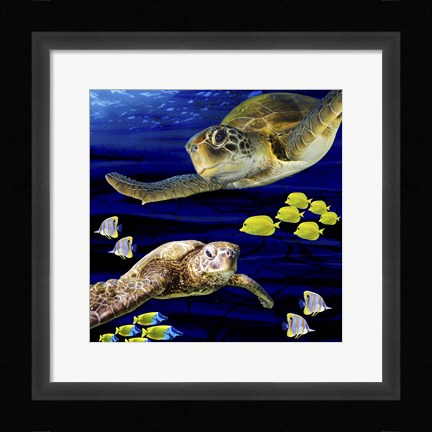Framed Sea Creatures Turtle Print