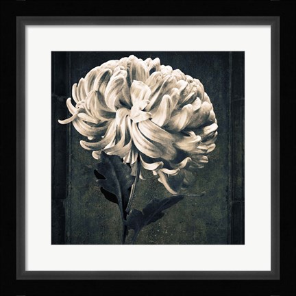 Framed Mum Texture Print