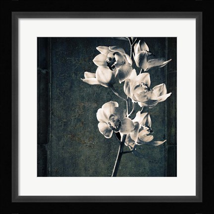 Framed Orchids Stem Texture Print