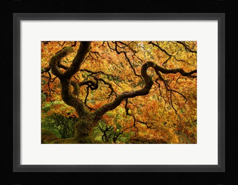 Framed Portland Japanese Garden Print