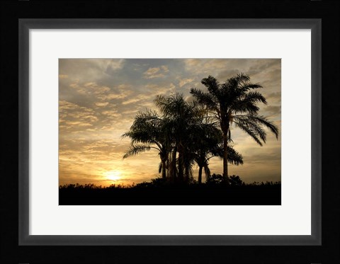 Framed Sunrise Experinemt Print