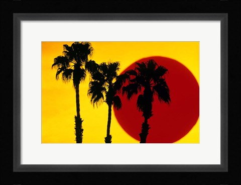Framed 1990S 3 Silhouetted Palm Trees Print