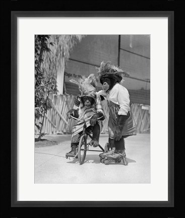 Framed 1930s Two Chimpanzees Monkeys Print