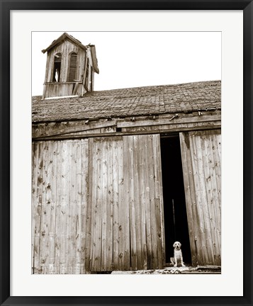 Framed Barnyard Dog Print