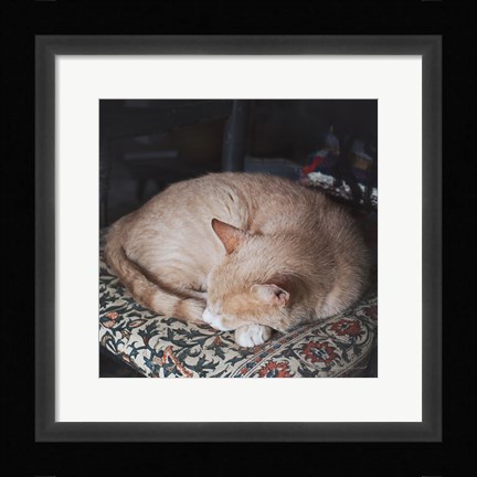 Framed Sleepy Afternoon Print