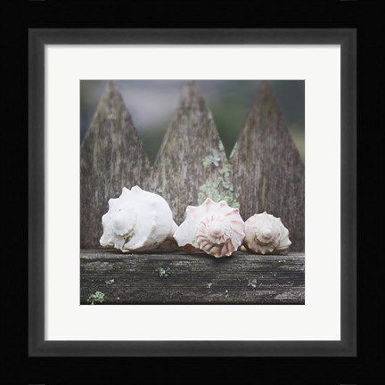 Framed Beach Treasures Print
