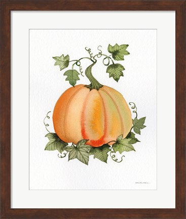 Framed Pumpkin and Vines II Print