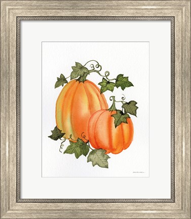 Framed Pumpkin and Vines I Print