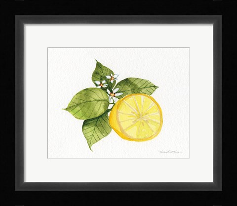 Framed Citrus Garden IX Print