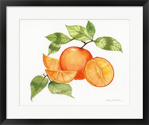 Framed Citrus Garden VIII Print