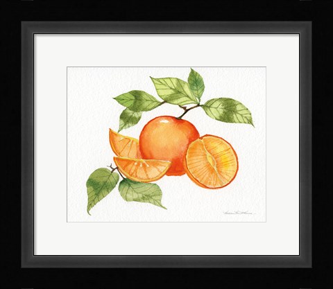 Framed Citrus Garden VIII Print