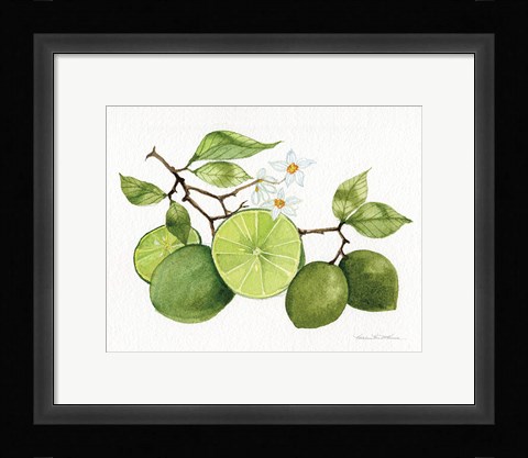 Framed Citrus Garden VII Print
