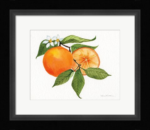 Framed Citrus Garden V Print