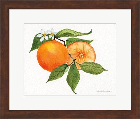 Framed Citrus Garden V Print