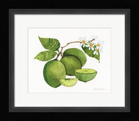 Framed Citrus Garden IV Print