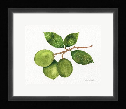 Framed Citrus Garden II Print