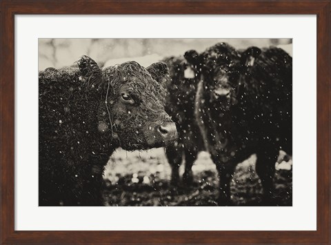 Framed Its Snowing Print
