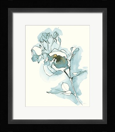 Framed Carols  Roses IV Cerulean Print
