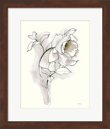 Framed Carols Roses III Soft Gray Print