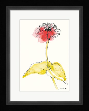 Framed Zinnia II Print