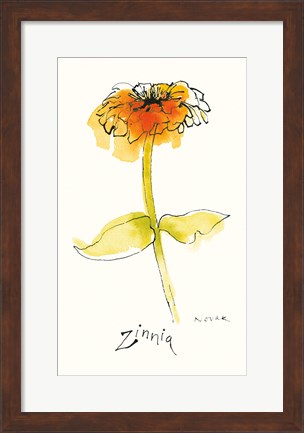 Framed Zinnia III Print