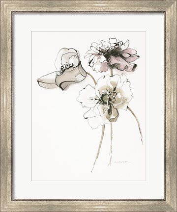 Framed Three Somniferums Poppies Neutral Print