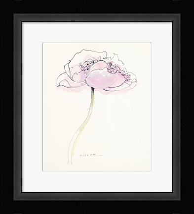 Framed Single Pink Somniferum II Print