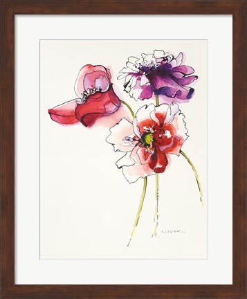Framed Three Somniferums Poppies Print