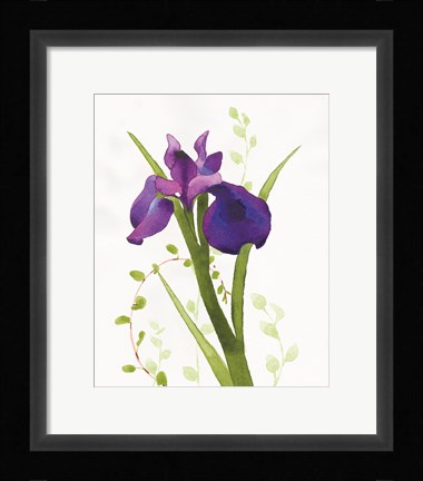 Framed Some Favorites I Print