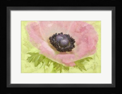 Framed Anemone Pink and Lime Print