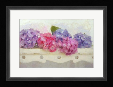 Framed Blue and Pink Hydrangea flowers on a Bench Print