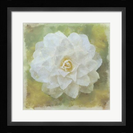 Framed Camelia White Print