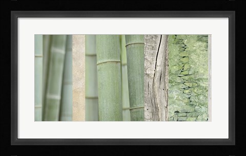 Framed Green Bamboo Collage Print