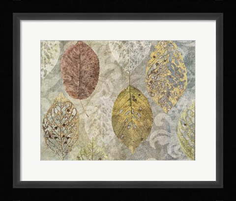 Framed Autumn Leaves Print