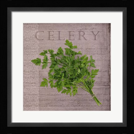 Framed Classic Herbs Celery Print