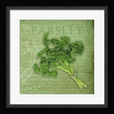 Framed Classic Herbs Parsley Print