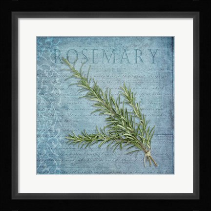 Framed Classic Herbs Rosemary Print